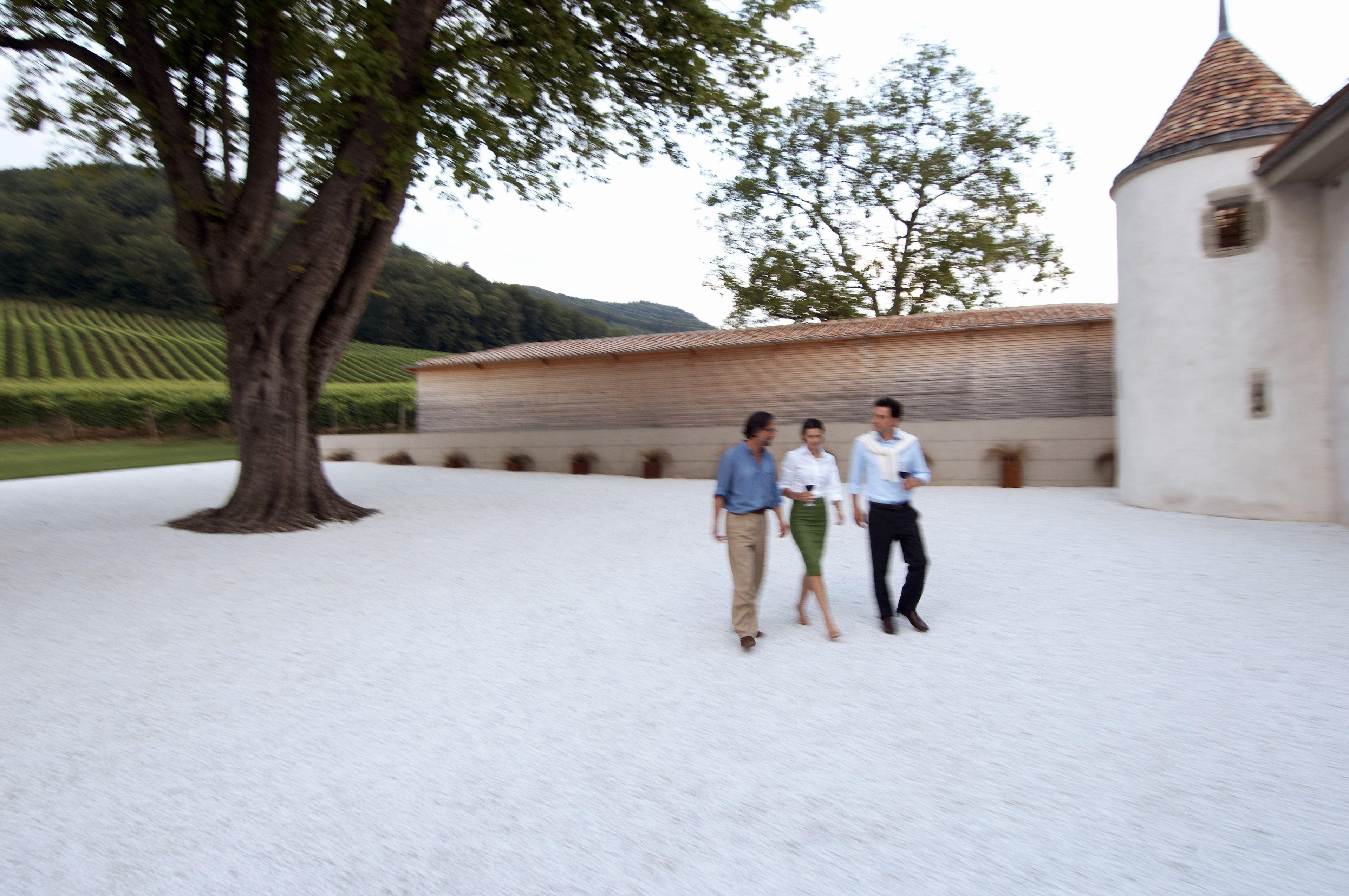 Intercontinental By Ihg 5* Genf